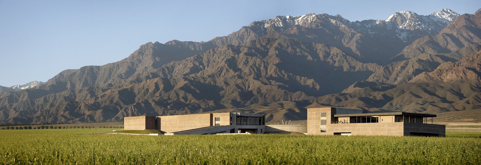 Viñedos y Cordillera de los Andes, Mendoza